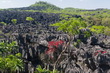 Ankarana National Park