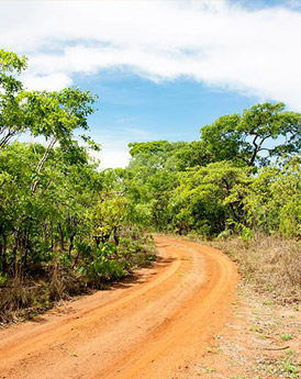 Kasungu National Park