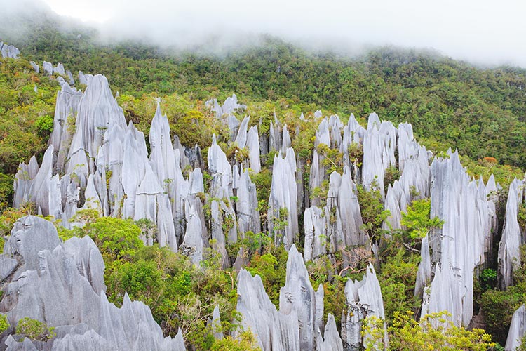Gunung Mulu National Park