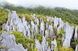 Gunung Mulu National Park