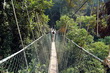 Taman Negara