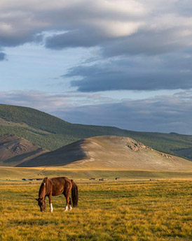 Hustain Nuruu National Park