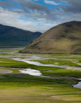 Orkhon vallei