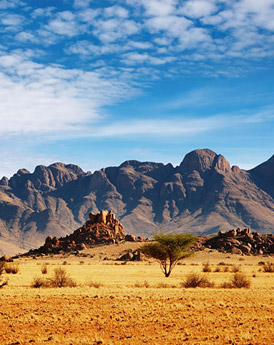Namib-Naukluft