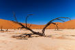 Sossusvlei