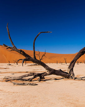 Sossusvlei