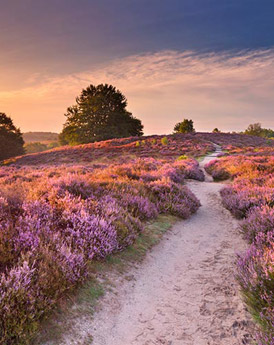 Gelderland