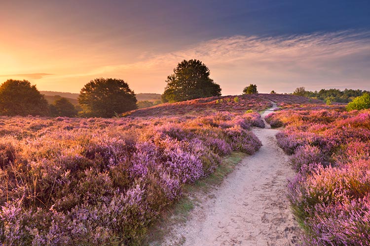 Gelderland