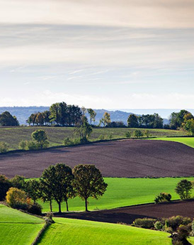 Limburg