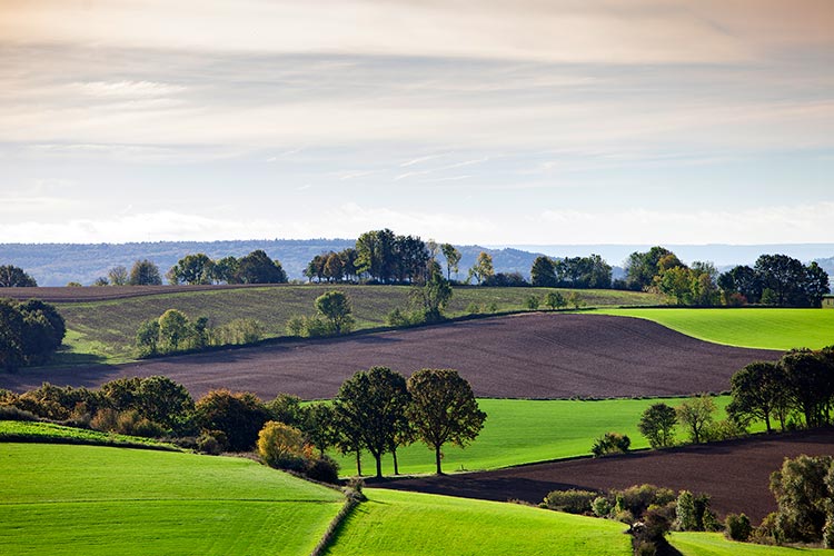 Limburg