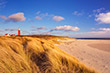 Texel