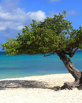 Aruba