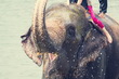 Chitwan National Park