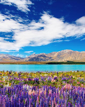 Lake Tekapo