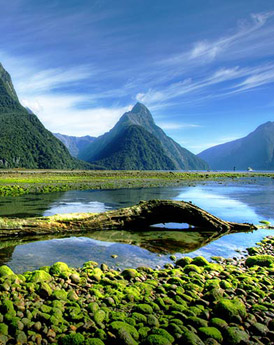 Milford Sound