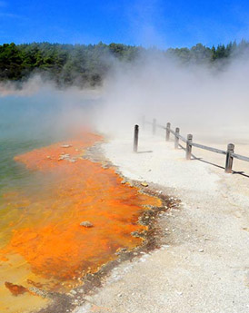 Rotorua