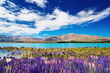 Lake Tekapo