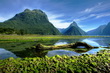 Milford Sound