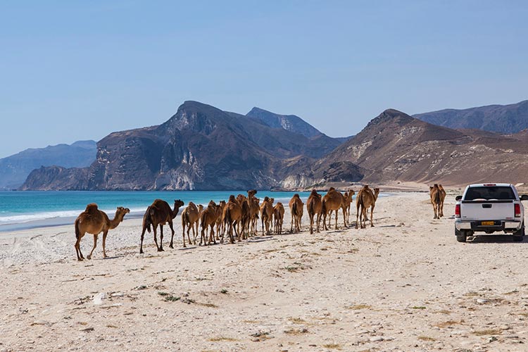 Eilanden Oman