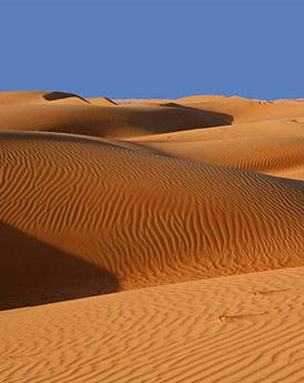 Wahiba Sands
