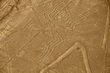 Nazca