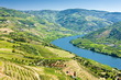 Douro vallei