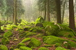 Peneda-Gerês National Park
