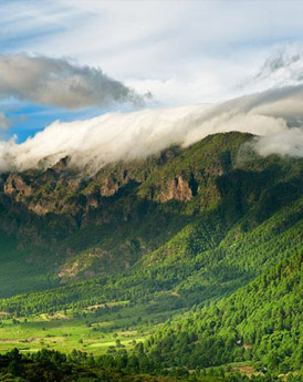 La Palma