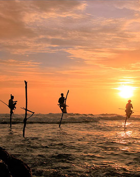 Unawatuna & de Zuidkust