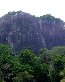Centraal Suriname Natuurreservaat