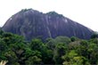 Centraal Suriname Natuurreservaat