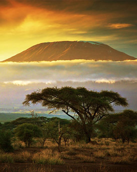 Kilimanjaro