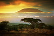 Kilimanjaro