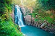 Khao Yai National Park