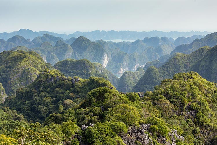Cat Ba Island