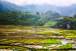 Sapa