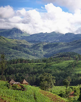 Chimanimani Mountains