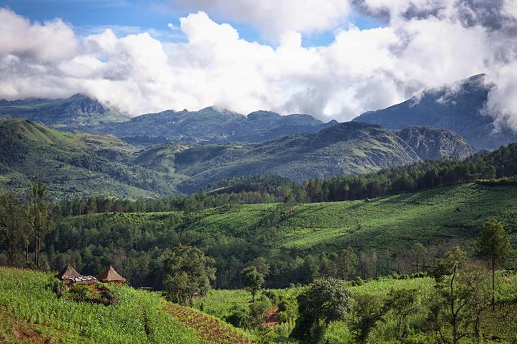 Chimanimani Mountains