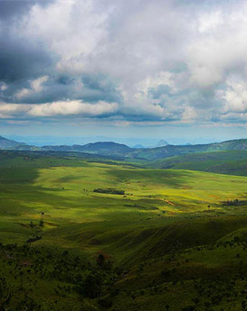 Eastern Highlands