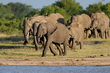 Hwange National Park