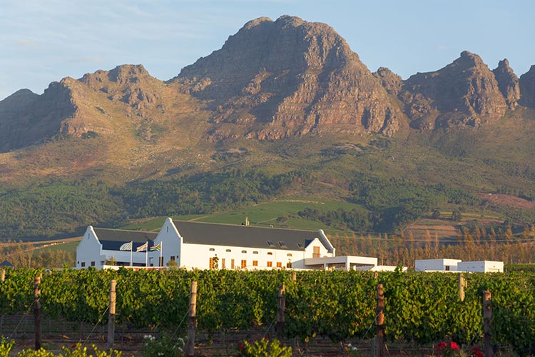 Kaapse wijnlanden