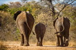 Kruger National Park