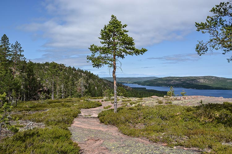 Höga Kusten