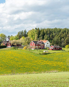 Småland