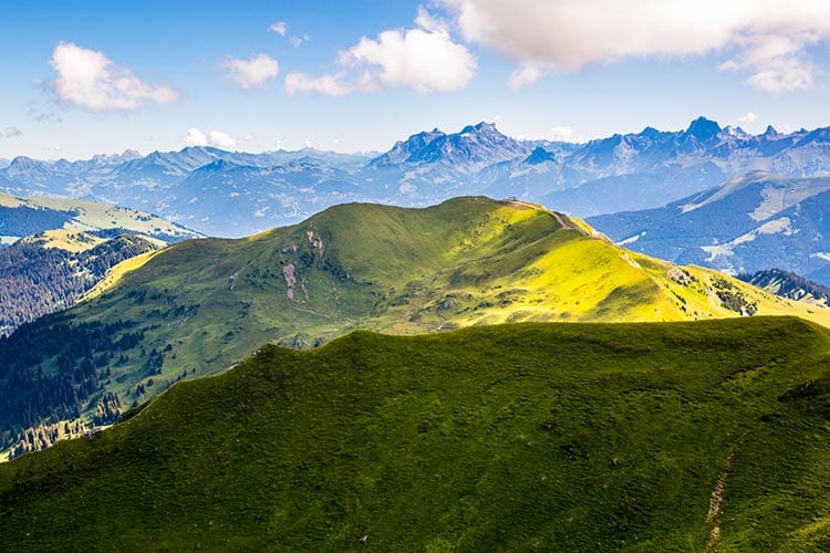 Vaud