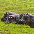 Rondreis Zambia, Malawi en Tanzania