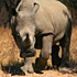 Zuid-Afrika, Swaziland & Lesotho