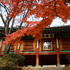 Groepsrondreis Zuid-Korea