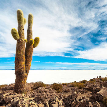 Salar de Uyuni