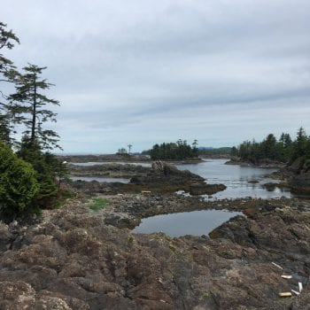 wild pacific trail